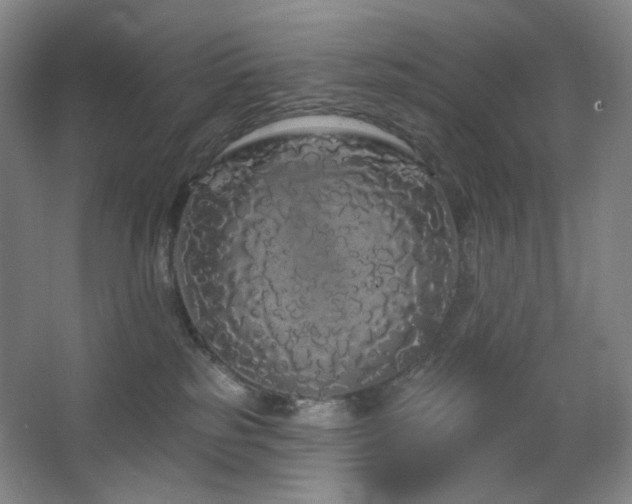 X0000064720185200602101133