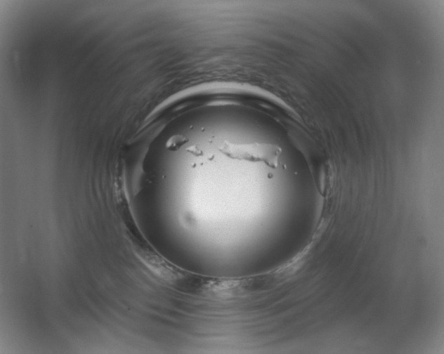 X0000064720186200602101133