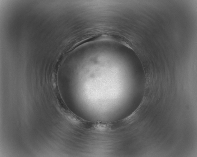 X0000064720187200602101133