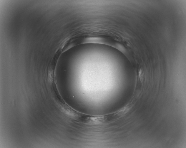 X0000064720188200602101133