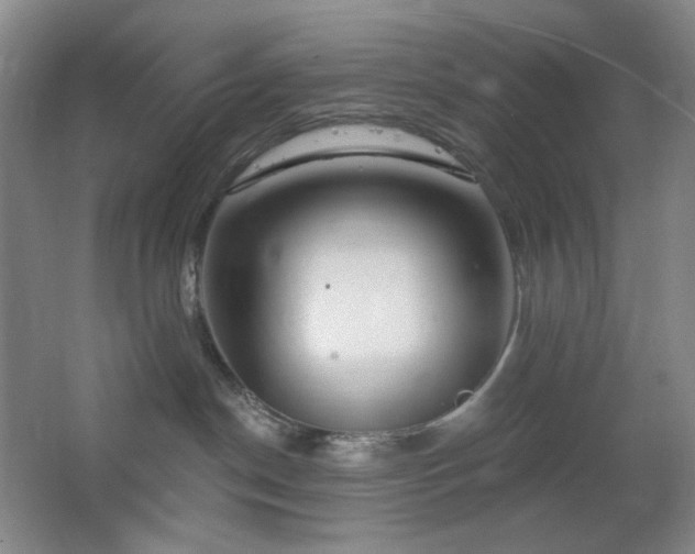 X0000064720190200602101133