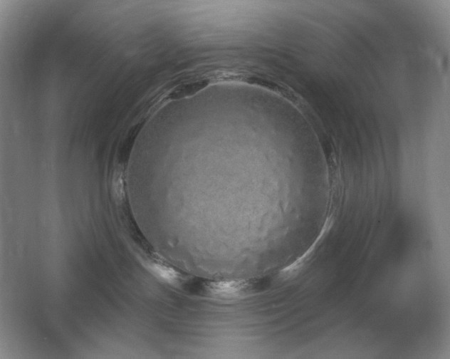 X0000064720191200602101133