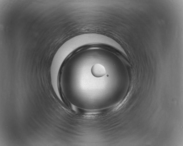 X0000064720192200602101133