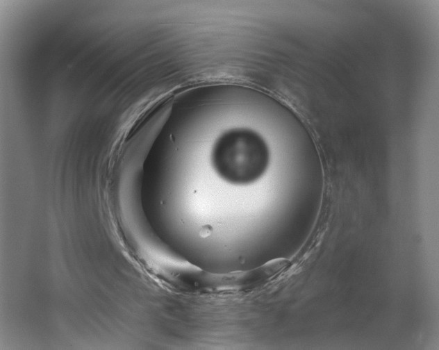 X0000064720193200602101133