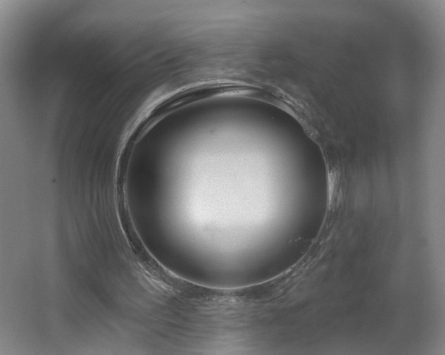 X0000064720195200602101133