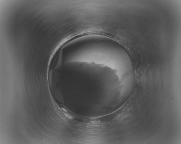 X0000064720196200602101133