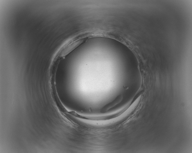 X0000064720197200602101133