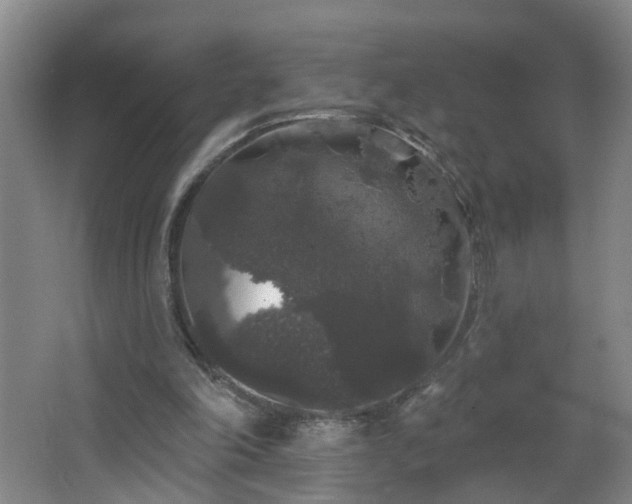 X0000064720198200602101133