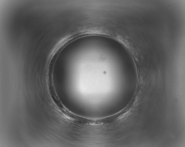 X0000064720199200602101132