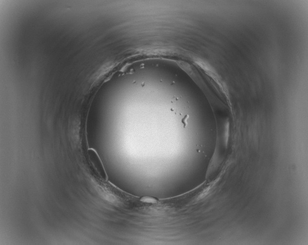 X0000064720201200602101132