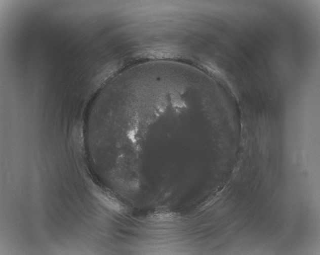 X0000064720202200602101132