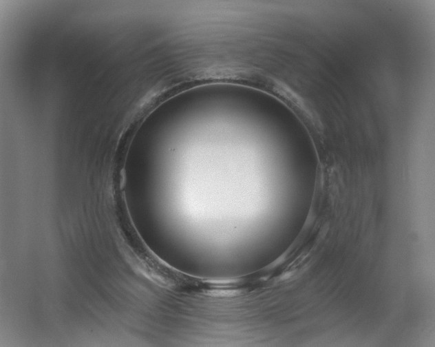 X0000064720203200602101132