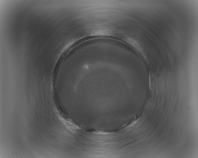 X0000064720204200602101132