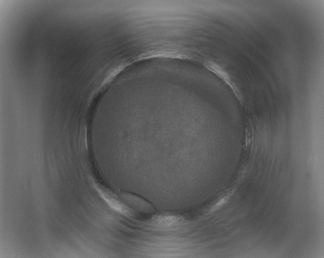 X0000064720205200602101132