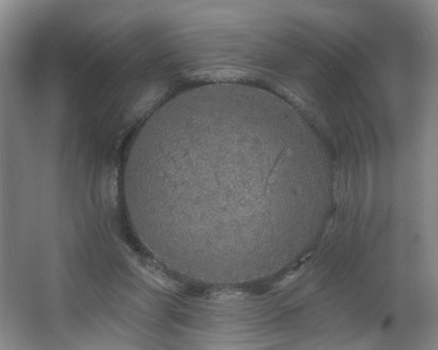 X0000064720206200602101132