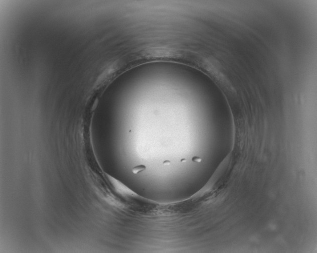 X0000064720207200602101132