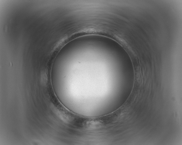 X0000064720208200602101132