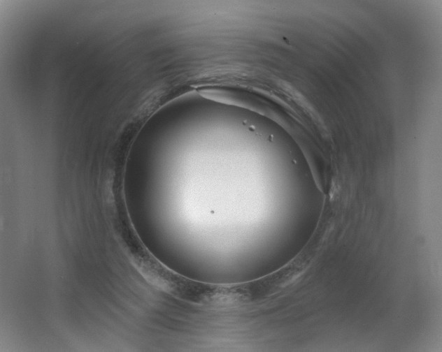 X0000064720209200602101132