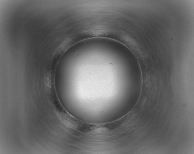 X0000064720210200602101132