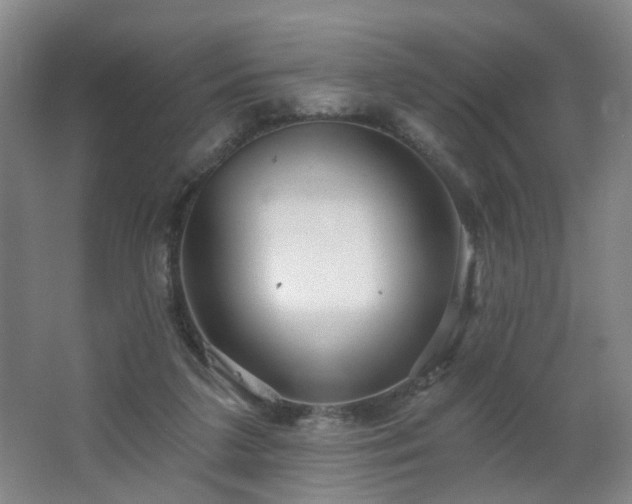 X0000064720211200602101132