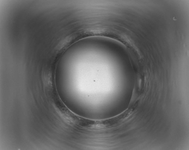 X0000064720212200602101132