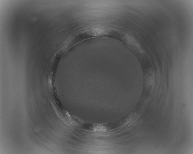 X0000064720214200602101132