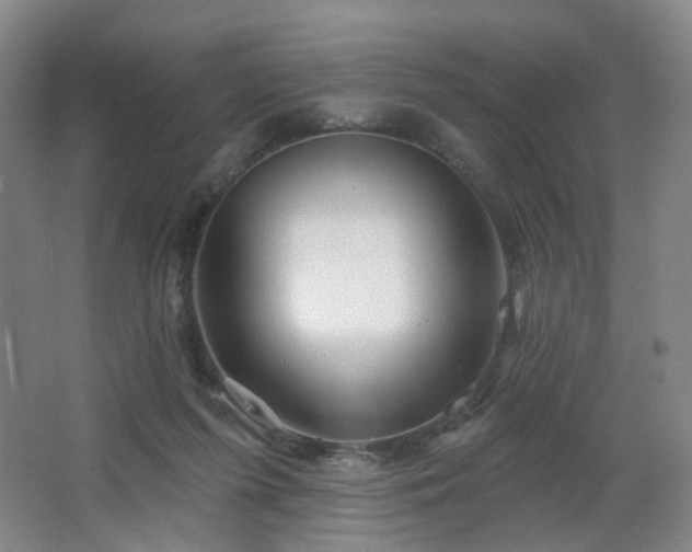 X0000064720215200602101132