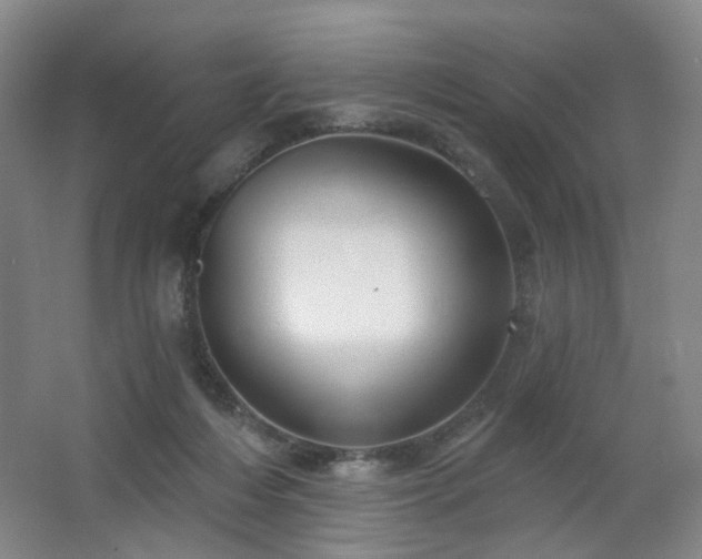 X0000064720216200602101132