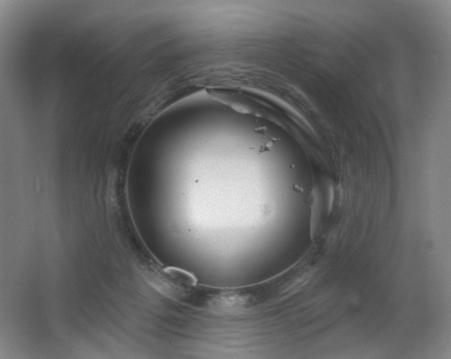 X0000064720217200602101132