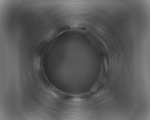 X0000064720219200602101132