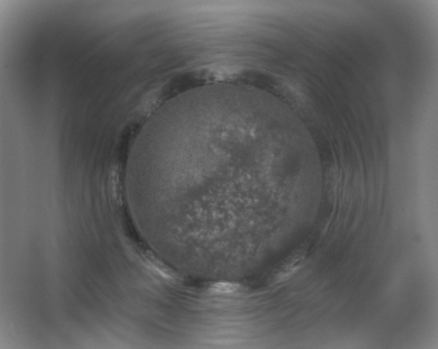 X0000064720222200602101132