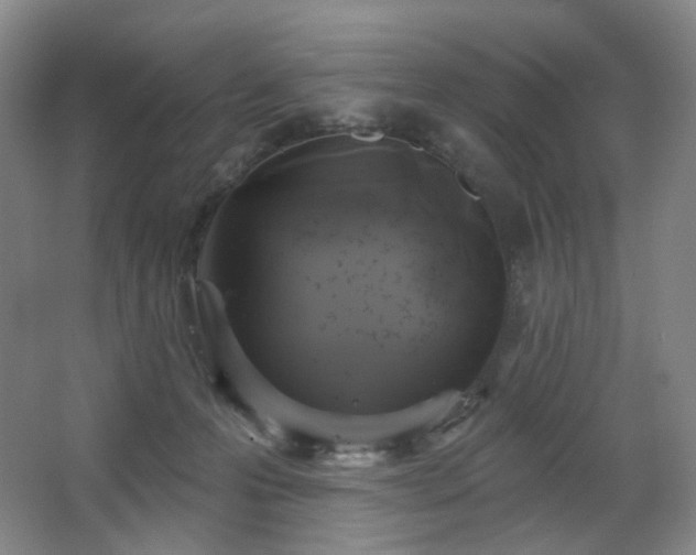 X0000064720223200602101132