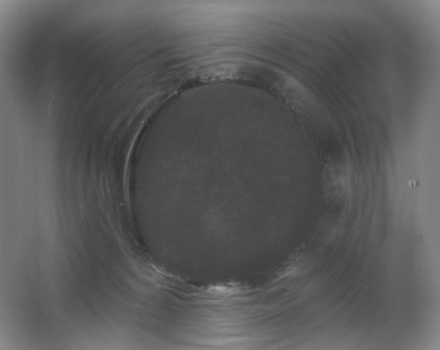 X0000064720224200602101132