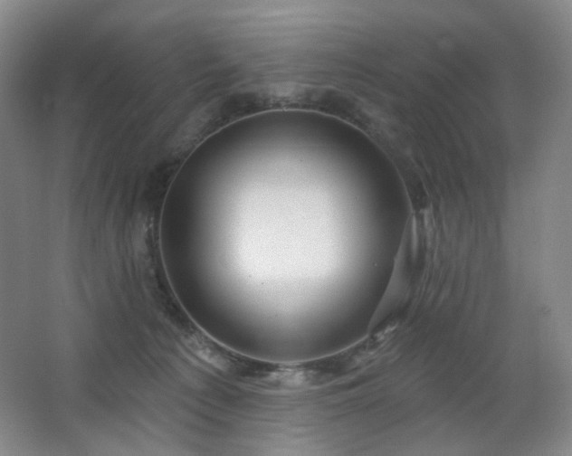 X0000064720225200602101132