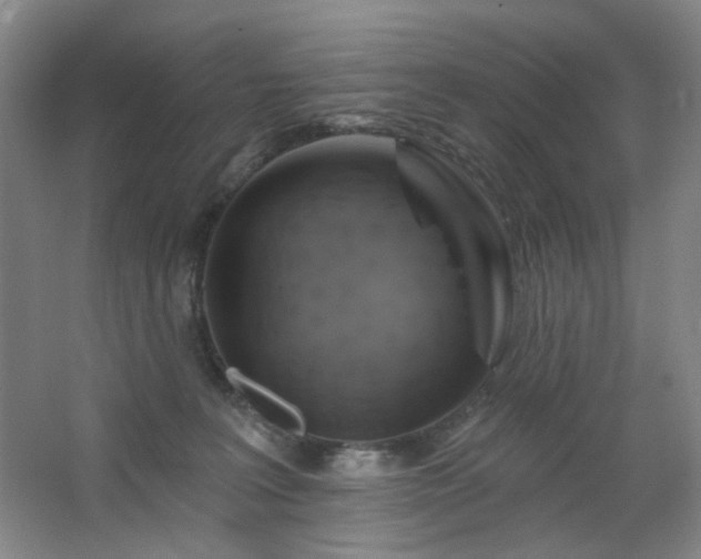 X0000064720227200602101132