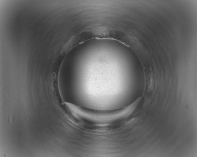 X0000064720229200602101132