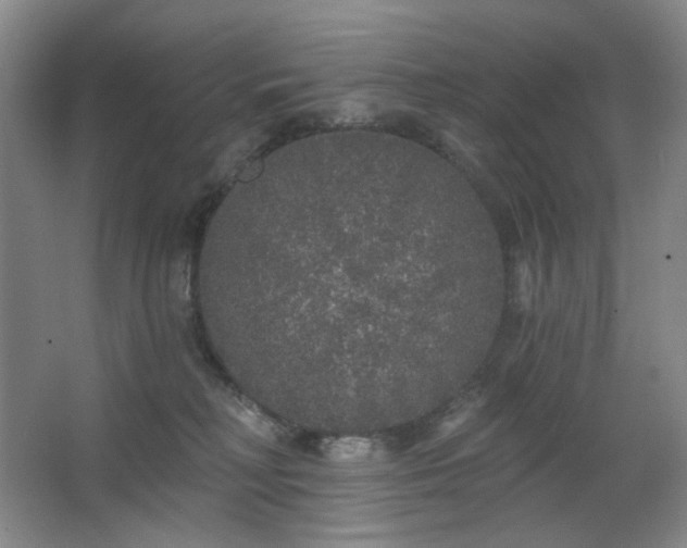 X0000064720230200602101132