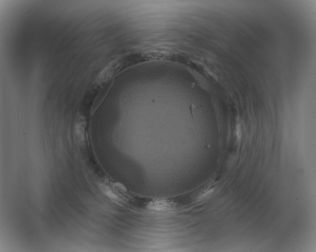 X0000064720231200602101132