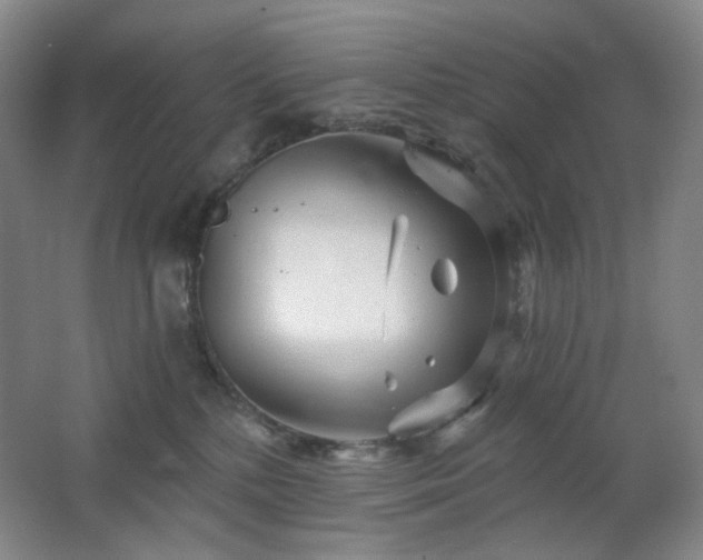 X0000064720232200602101132