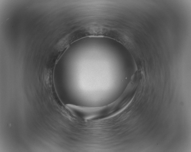 X0000064720233200602101132