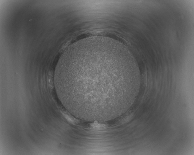 X0000064720234200602101132