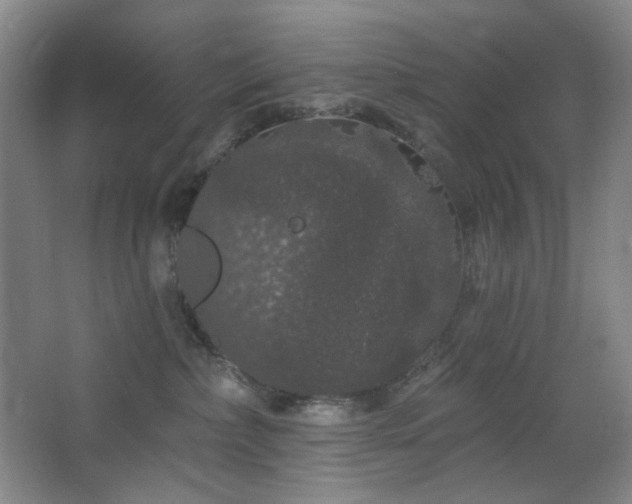 X0000064720236200602101132