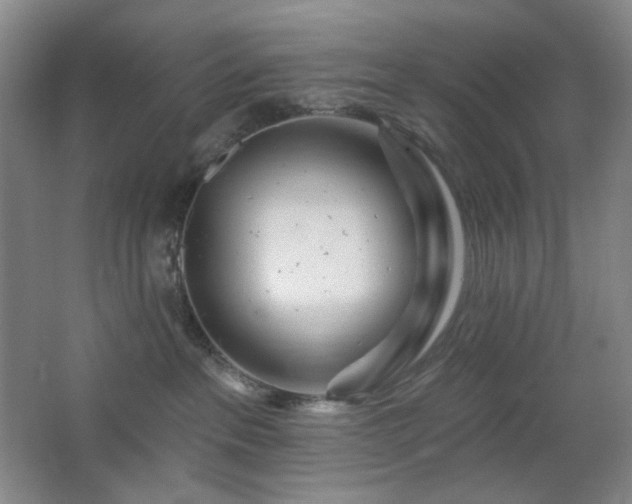 X0000064720237200602101132