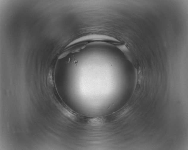 X0000064720238200602101132