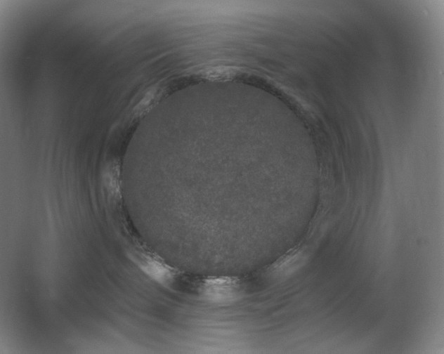 X0000064720240200602101132