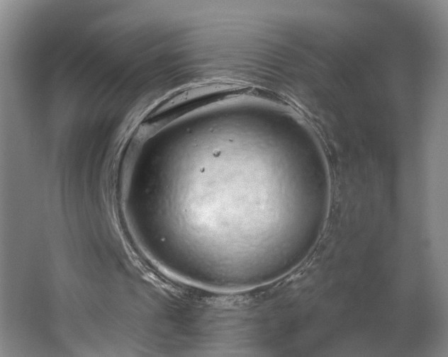 X0000064720241200602101131