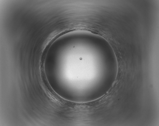 X0000064720242200602101131