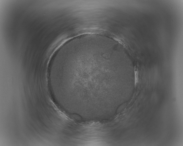 X0000064720243200602101131