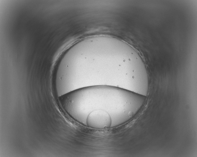 X0000064720245200602101131