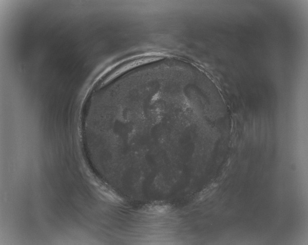 X0000064720247200602101131